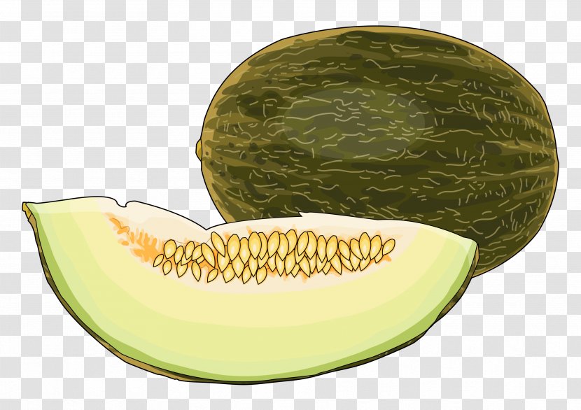 Honeydew Cantaloupe Watermelon Quince Cheese Technology - Plant Transparent PNG
