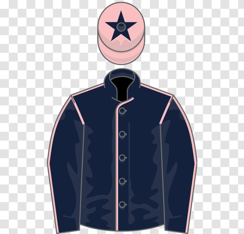 Thoroughbred Horse Racing Windsor Lad Royal Palace St Leger Stakes - Sleeve - Wills Transparent PNG