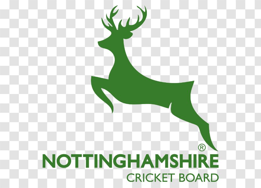 Nottinghamshire County Cricket Club Championship Hampshire Twenty20 Cup 2017 NatWest T20 Blast Transparent PNG