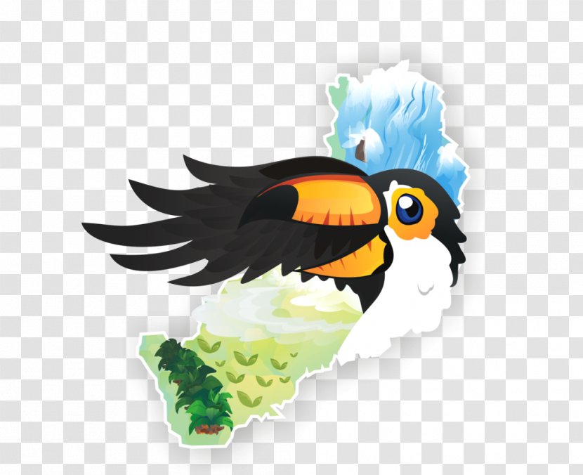 Beak Toucan Bird Logo Piciformes - Tourism In Belize Transparent PNG