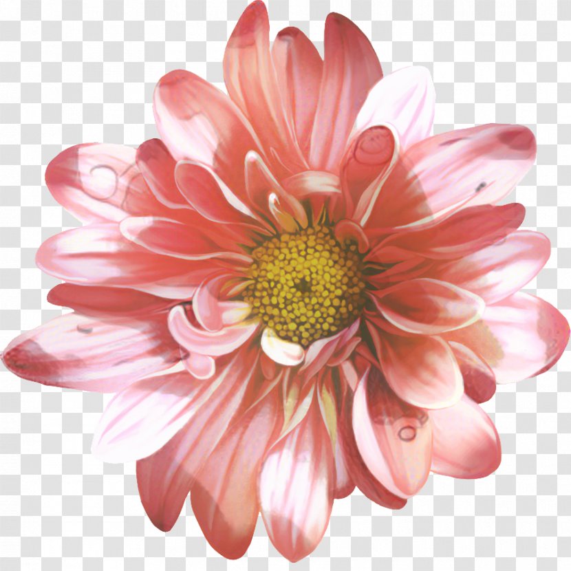 Flowers Background - Floristry - Wildflower Floral Design Transparent PNG