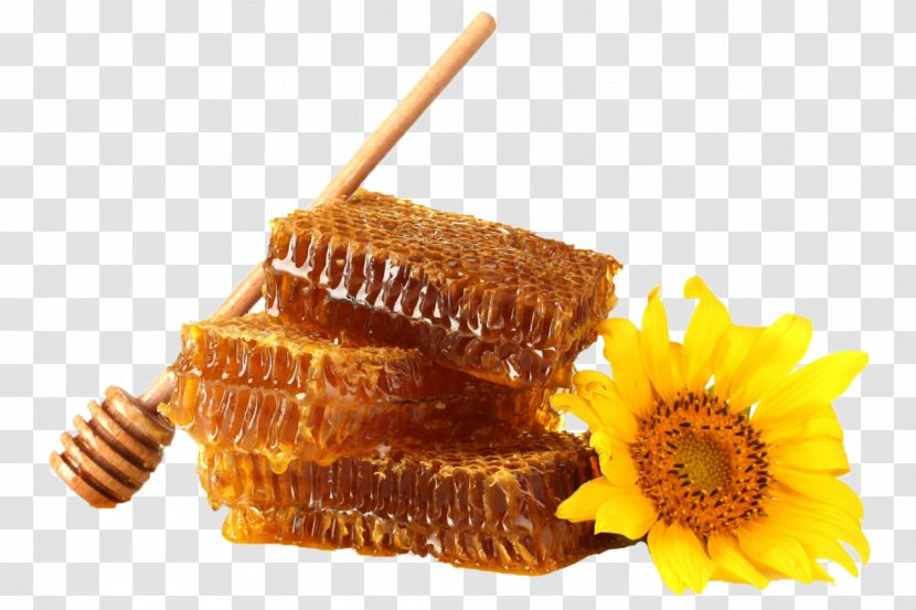 Bee Common Sunflower Honeycomb Desktop Wallpaper - Jar - Honey Transparent PNG