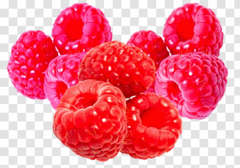 Red Raspberry Frutti Di Bosco - Lovely Pink Transparent PNG