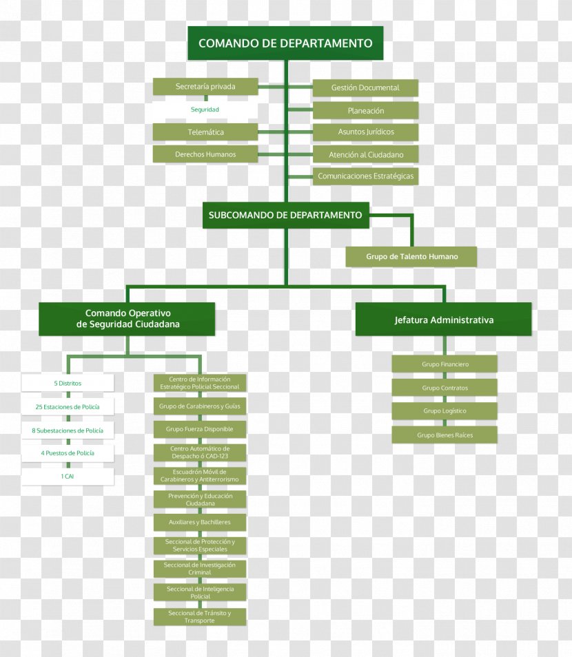 National Police Corps Organizational Chart Of Colombia Public Security - Municipal - Grams Transparent PNG