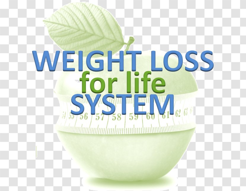 Company Weight Loss Nutrition Nervous System - Digital Agency Transparent PNG