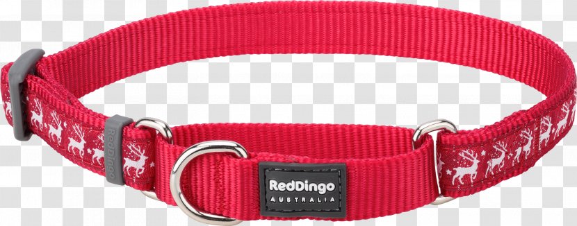 Dog Collar Buckle Dingo - Fashion Accessory - Red Transparent PNG