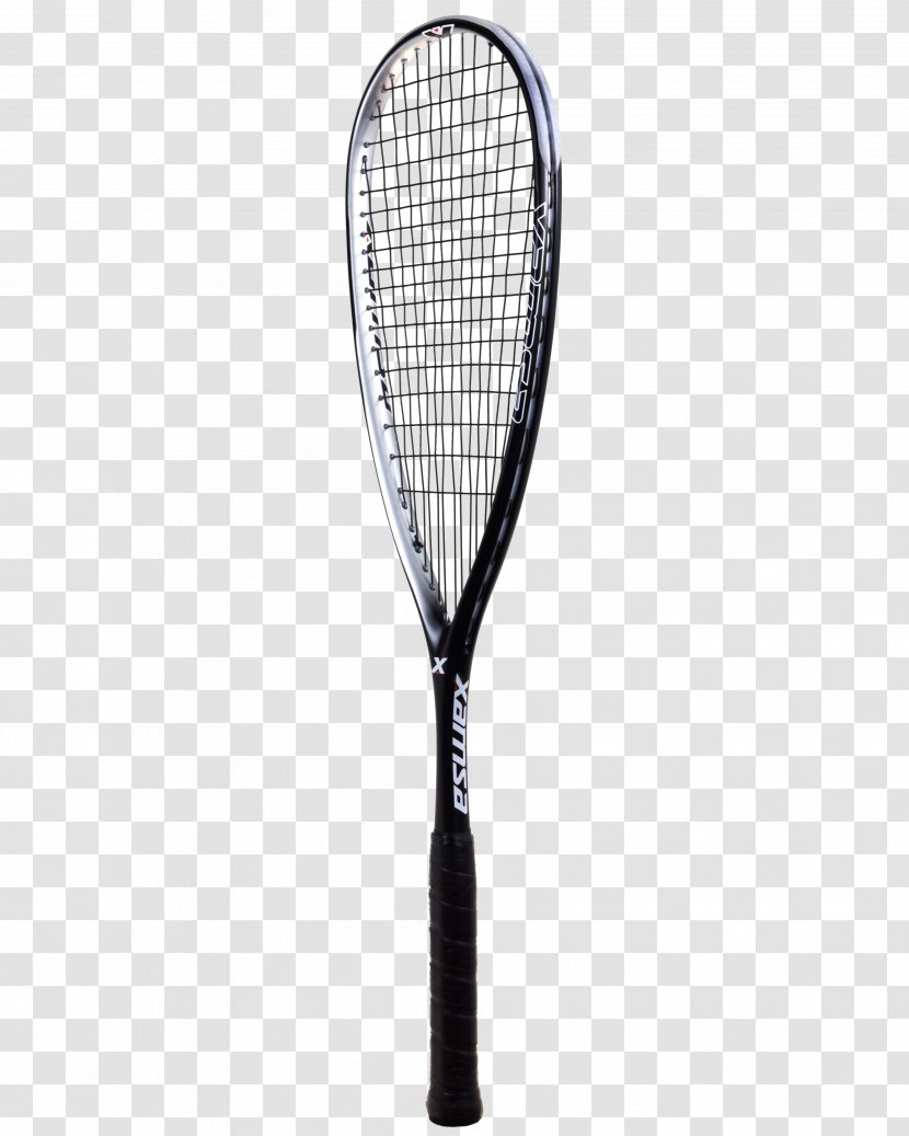 Racket Squash Head Tennis Babolat - Do It - Acorn Transparent PNG