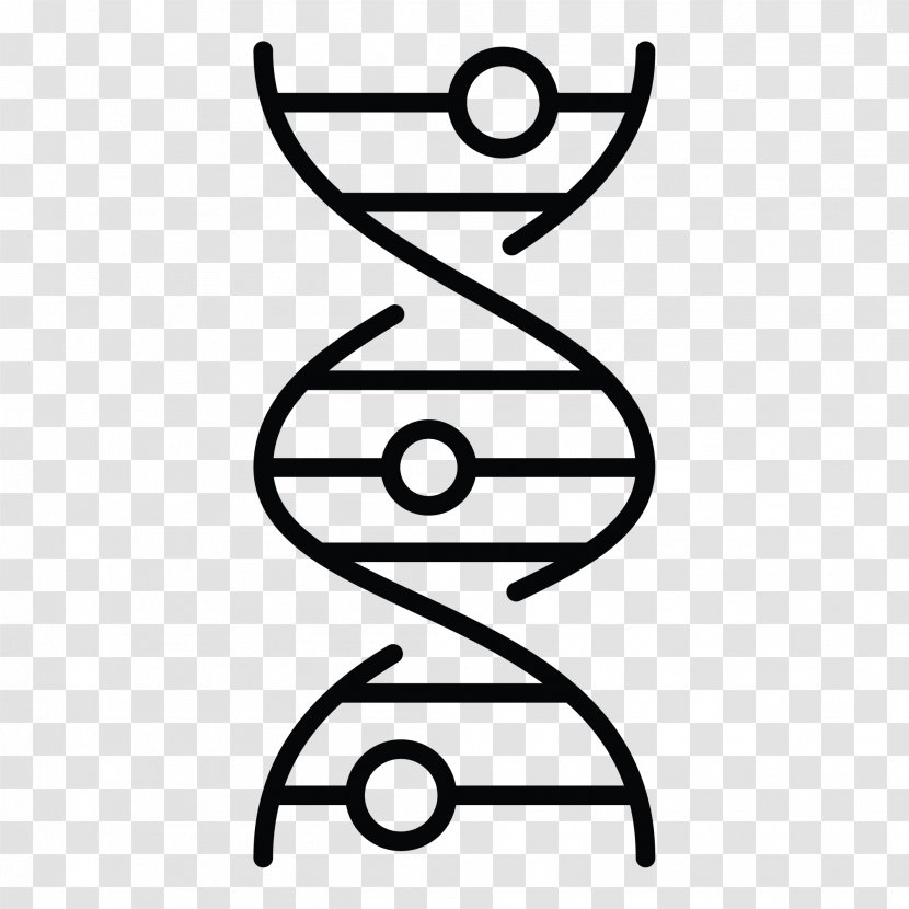 DNA Nucleic Acid Double Helix Vector Coloring Book Biology Transparent PNG