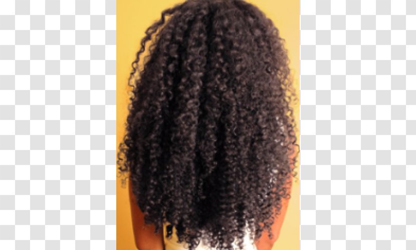 Wig Jheri Curl Long Hair Afro Transparent PNG