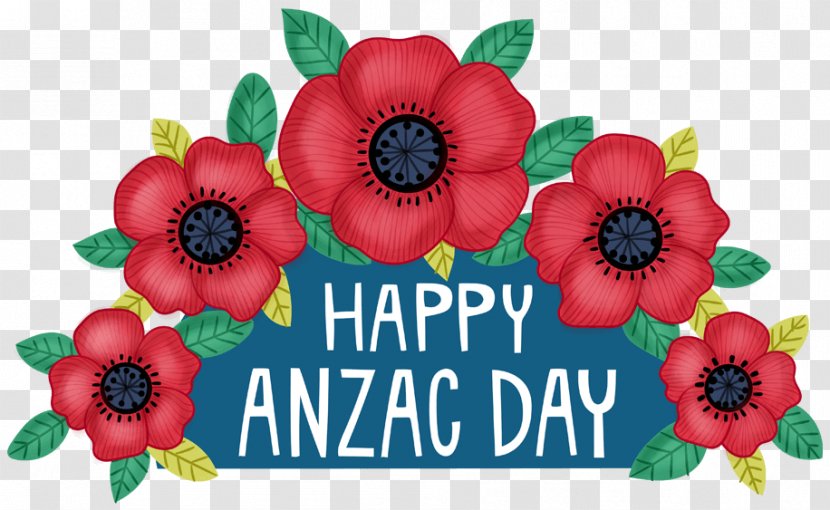 Anzac Day Flower - Petal - Wildflower Coquelicot Transparent PNG