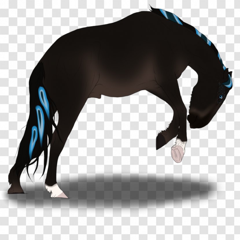 Mustang Stallion Mare Pony Halter Transparent PNG