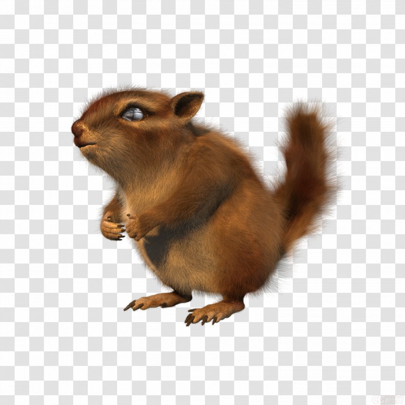 Chipmunk Fox Squirrel Animation - Architecture - Animator Background Transparent PNG