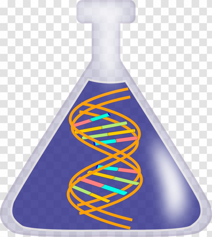 DNA Nucleic Acid Double Helix Free Content Clip Art - Cliparts Transparent PNG