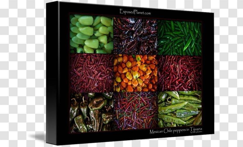 Mexico Fruit Chili Pepper - Mexican Landscape Transparent PNG