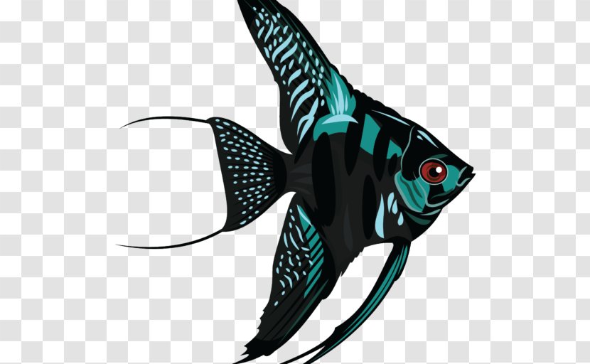 Freshwater Angelfish Scalar Clip Art - Tropical Fish Transparent PNG