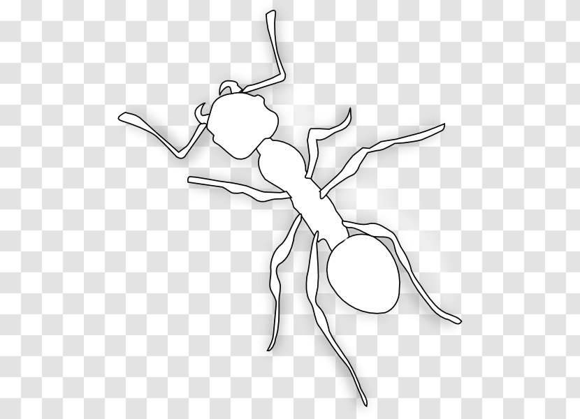 Ant Line Art Clip - White - Ants Transparent PNG