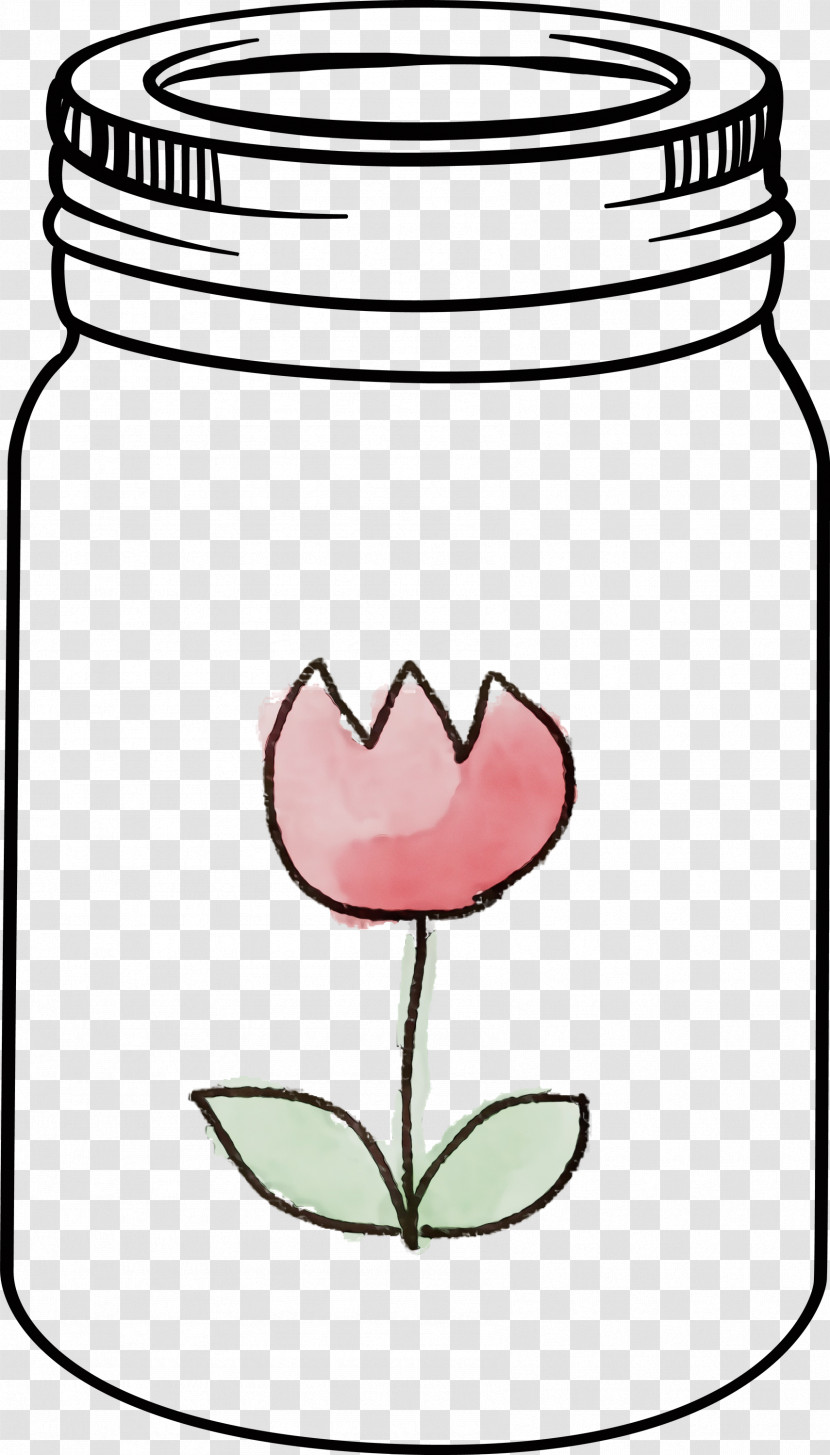 Flower Petal Meter Plants Biology Transparent PNG