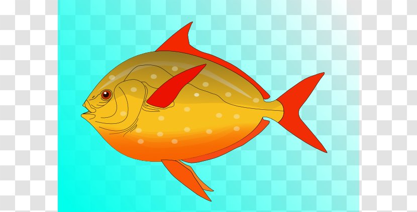 Clownfish Anglerfish Clip Art - Stockxchng - Colorful Fish In Water Transparent PNG