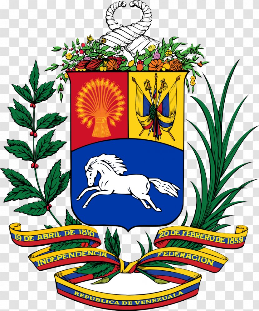 Coat Of Arms Venezuela National Symbol Escutcheon - Flower Transparent PNG
