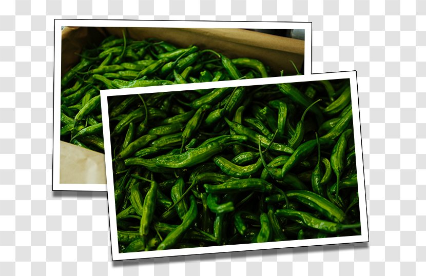 Vegetable Chili Pepper Bell Bird's Eye - Andrighetto Produce Inc - Bok Choy Transparent PNG
