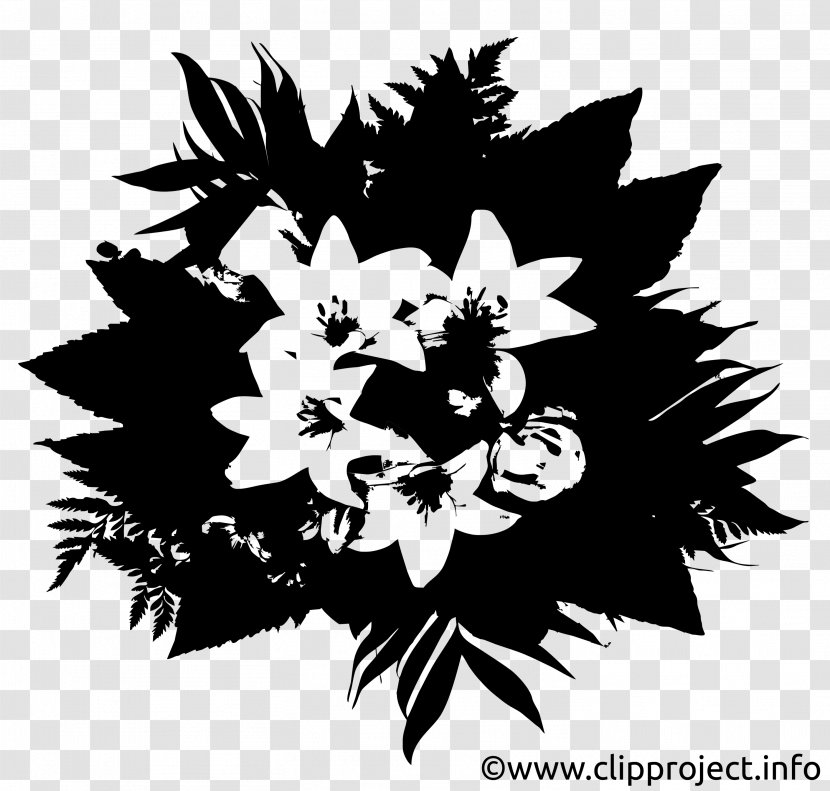Black And White Flower - Vascular Plant - Herbaceous Transparent PNG