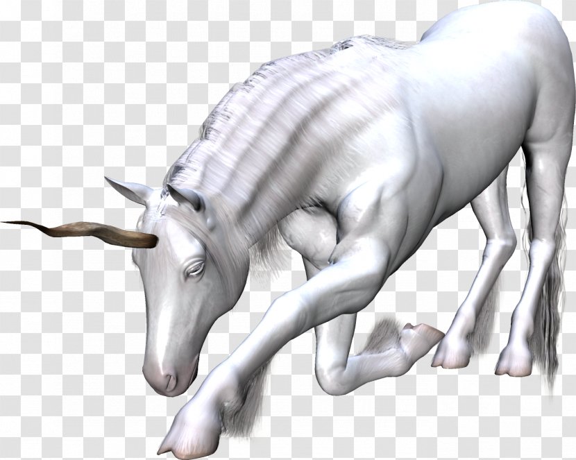 Unicorn White Dragon Horse - Chinese Transparent PNG