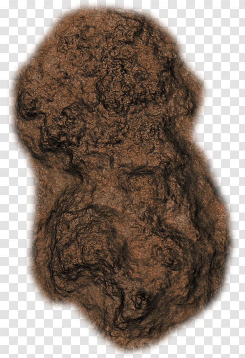 Fur - Rock - Ground Transparent PNG