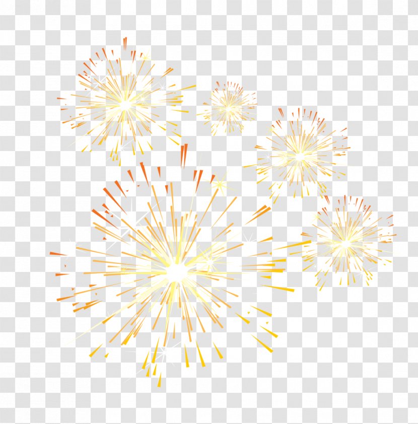 Petal Pattern - White - Golden Simple Fireworks Decorative Patterns Transparent PNG