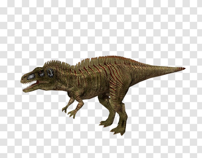 Tyrannosaurus Iguanodon Europasaurus Velociraptor Carcharodontosaurus - Dinosaur Transparent PNG