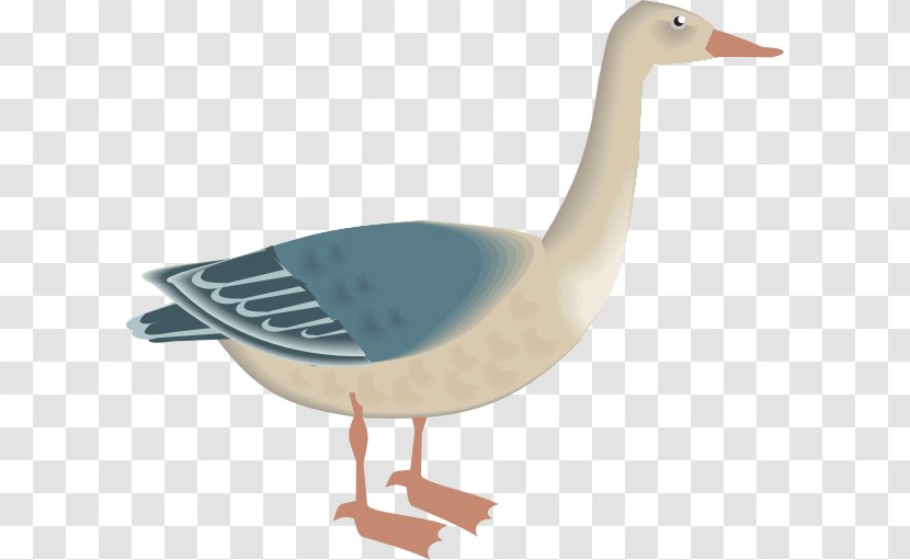 Goose Bird Clip Art - Ducks Geese And Swans Transparent PNG