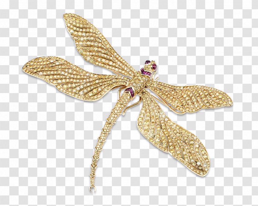 Brooch Diamond Color Jewellery - Invertebrate - Fancy Pendant Transparent PNG