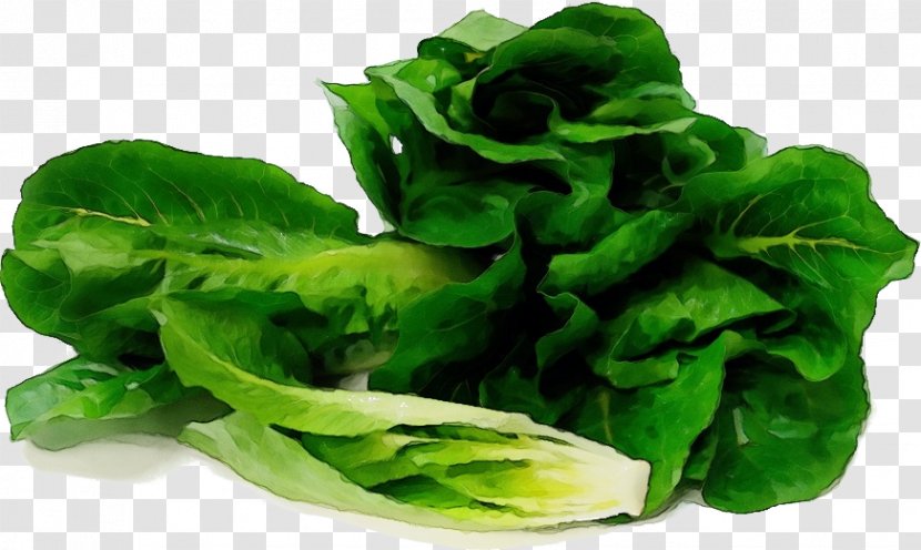 Leaf Vegetable Food Lettuce Iceburg - Plant Transparent PNG