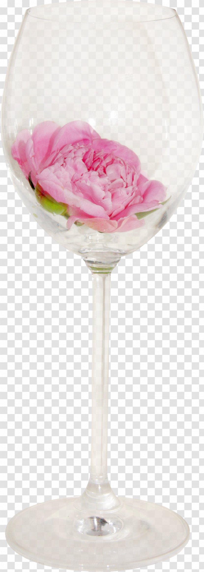 Pink Lady Martini Cocktail Glass Petal - Cup Red Wine Transparent PNG