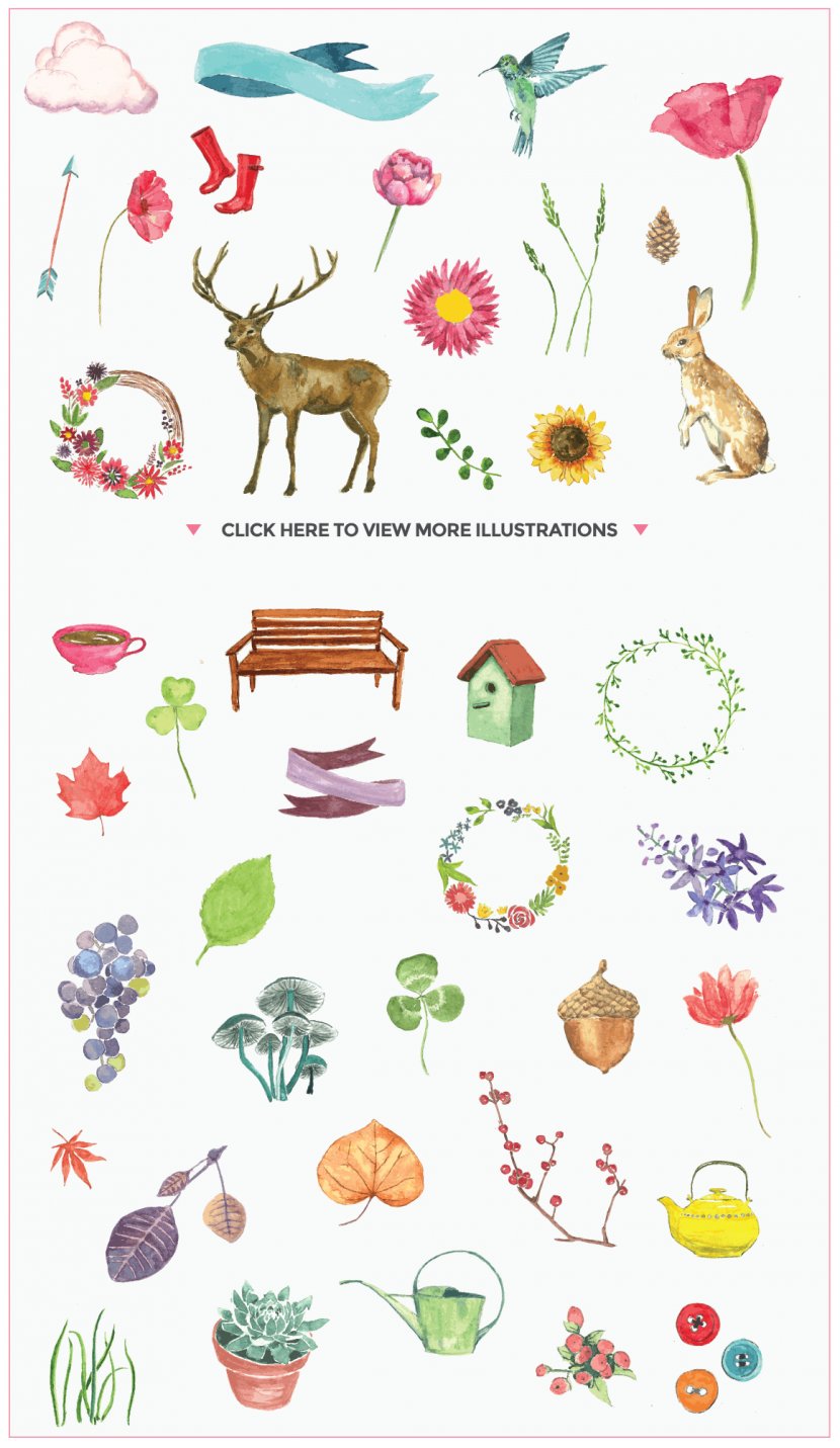 Floral Design Illustration - Fictional Character - All Kinds Of Hand-painted Animals,wreath,Green Transparent PNG