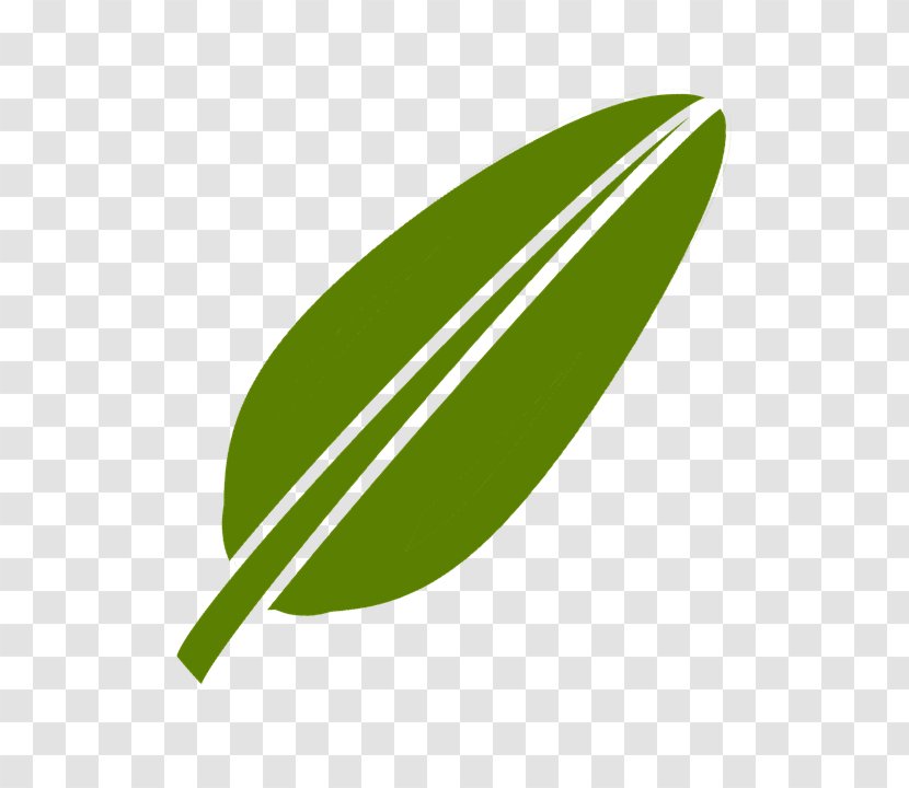 Clip Art Image Vector Graphics - Food - Fresh Green Tea Leaves Transparent PNG