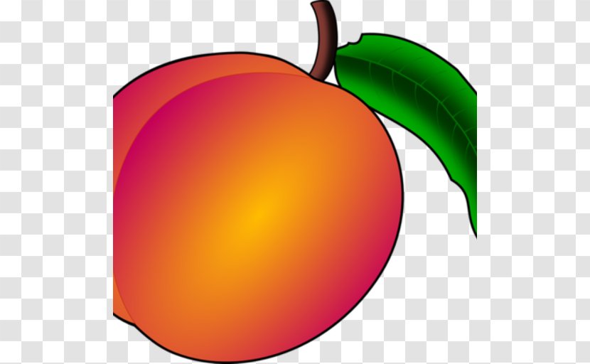 Apple Peach Apricot Fruit Clip Art - Kiwifruit Transparent PNG