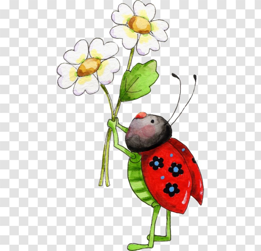 Flower Ladybird Clip Art - Plant Transparent PNG
