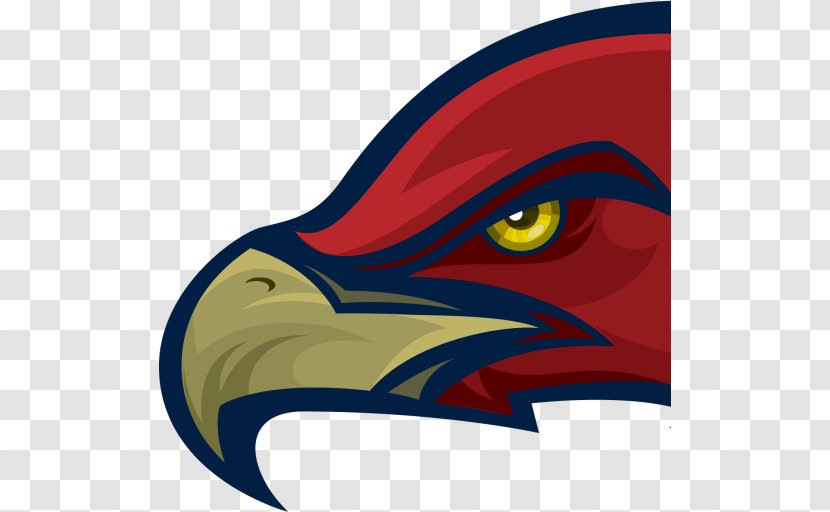 Mill Creek High School Hoschton Hawk Logo - Bird Of Prey Transparent PNG