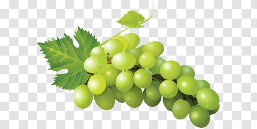 Sultana Grape Clip Art - Fruit Transparent PNG