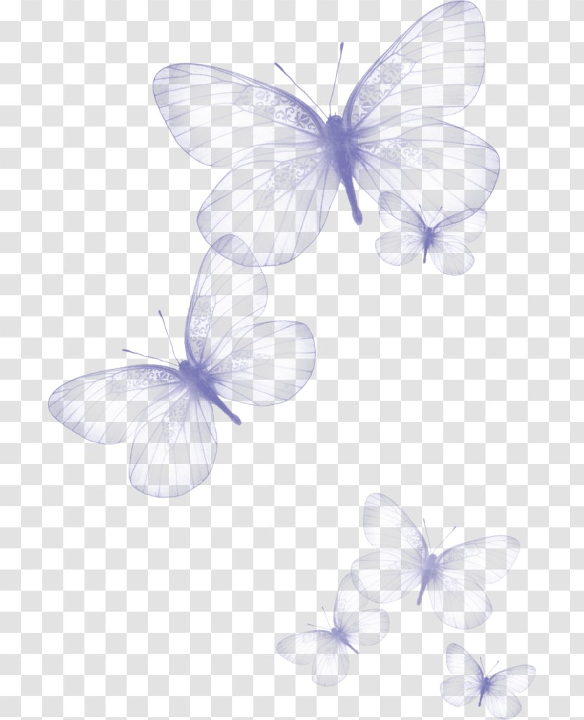 Butterfly Clip Art - Greta Oto - Butterflies Float Element Transparent PNG