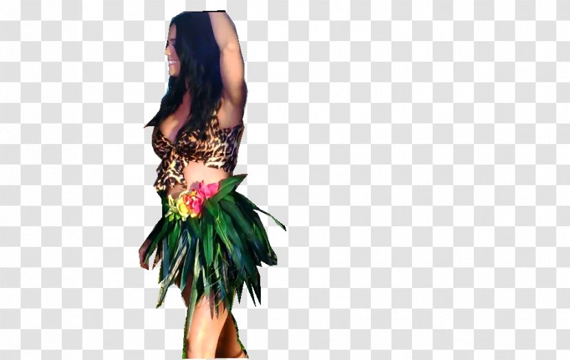 Roar One Of The Boys Teenage Dream - Katy Perry Transparent PNG