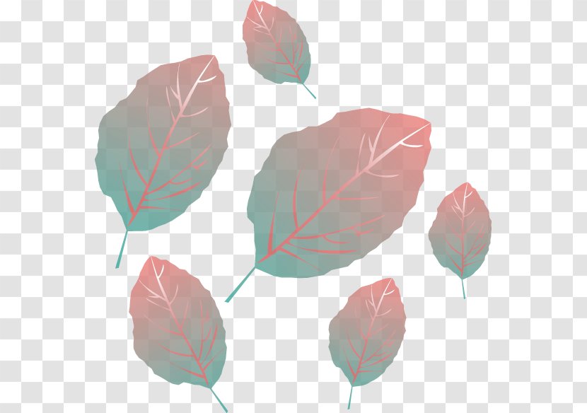 Cartoon Autumn - Flower - Painted Leaves Transparent PNG