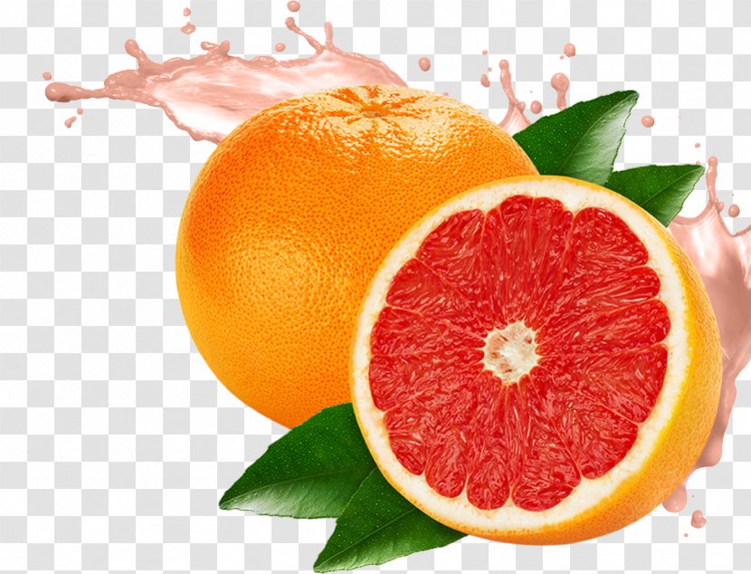Grapefruit Juice Pomelo Lemon - Superfood Transparent PNG