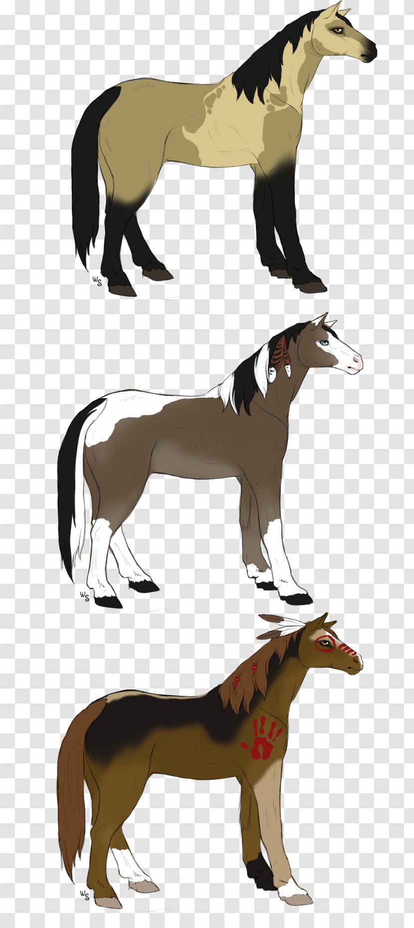 Canidae Dog Fauna - Tail Transparent PNG