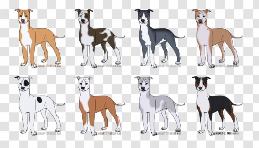 Whippet Italian Greyhound Spanish Dog Breed - Animal Transparent PNG