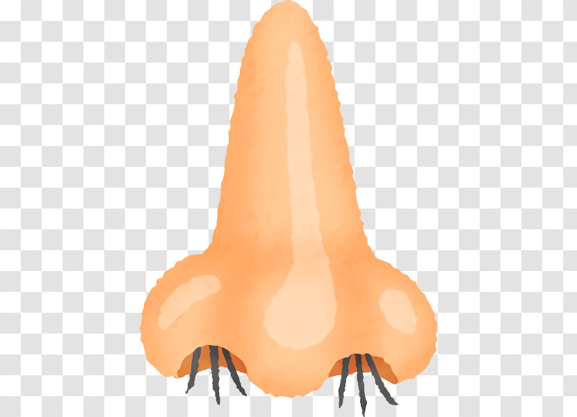 Orange Transparent PNG