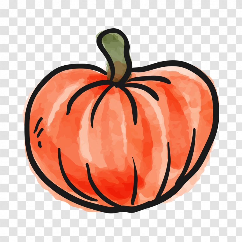 Pumpkin Image Vegetable Gourd - Squash - Decorating Transparent PNG