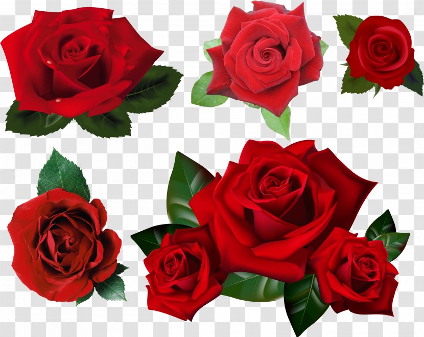 Rose Clip Art Desktop Wallpaper Flower - Bouquet - Transparent Transparent PNG