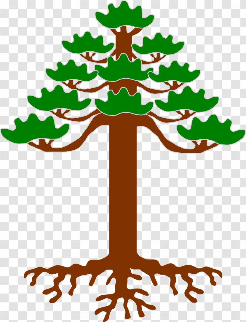 Ragunda Municipality Heraldry Tree Figura - Artwork - Vector Transparent PNG