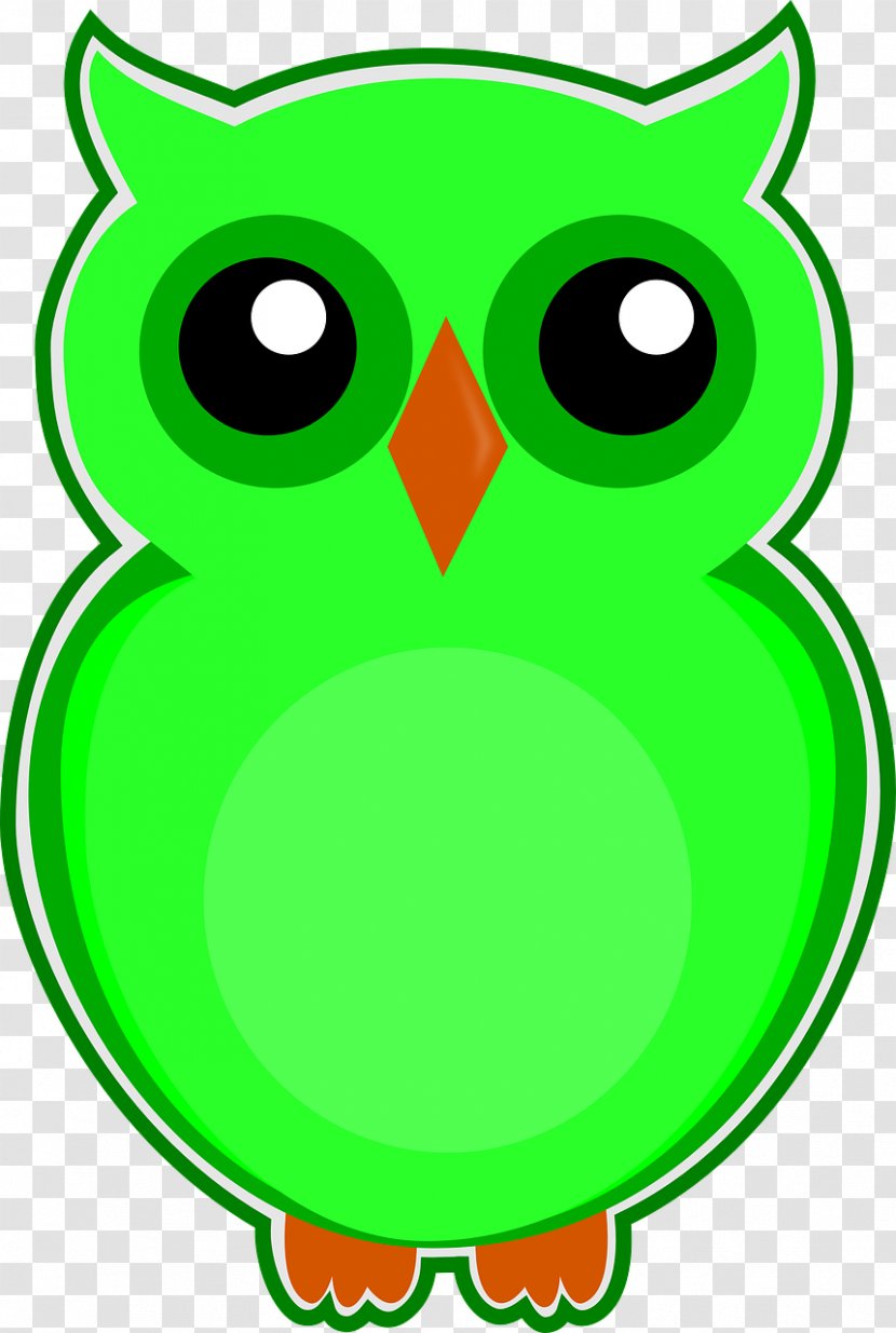 Eksen Dershaneleri Owl Download - Library Marcel Pagnol - Owls Transparent PNG
